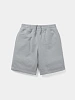 Шорты thisisneverthat T.N.T. Classic HDP Grey