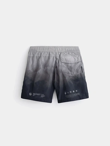 Шорты Stampd Van Gogh Ombre Trunk Brushstroke