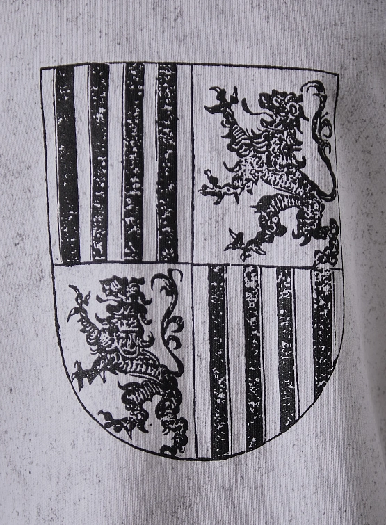 Футболка Siniy Vsadnik Lions Tee White