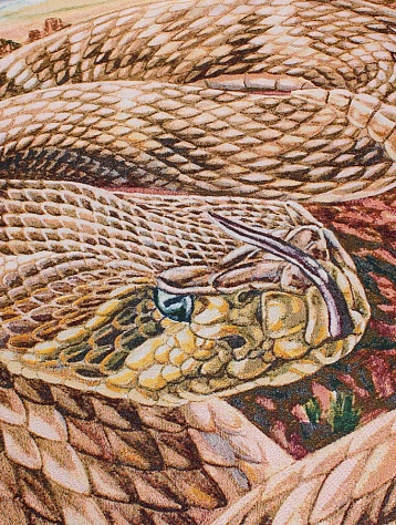 Плед Daze x AA Ace Brownish Red