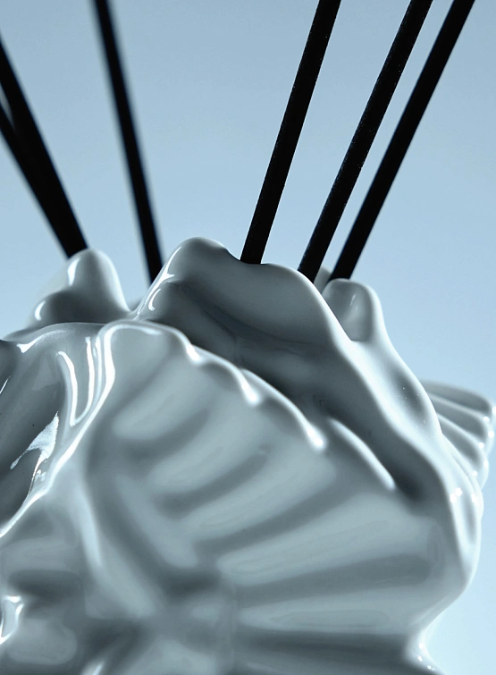 Ароматический диффузор FAKOSHIМA Х 01001LAB ОВJЕСТ1