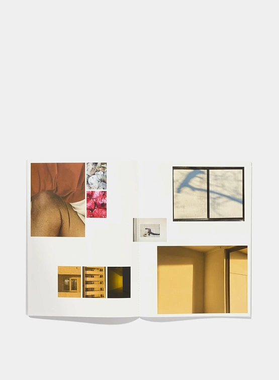 Книга Études Alessio Bolzoni