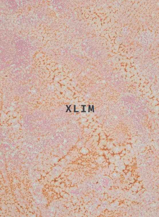 Кружка XLIM EP.7 01 Peach/Pink