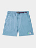 Шорты Butter Goods Equipment Shorts Sky