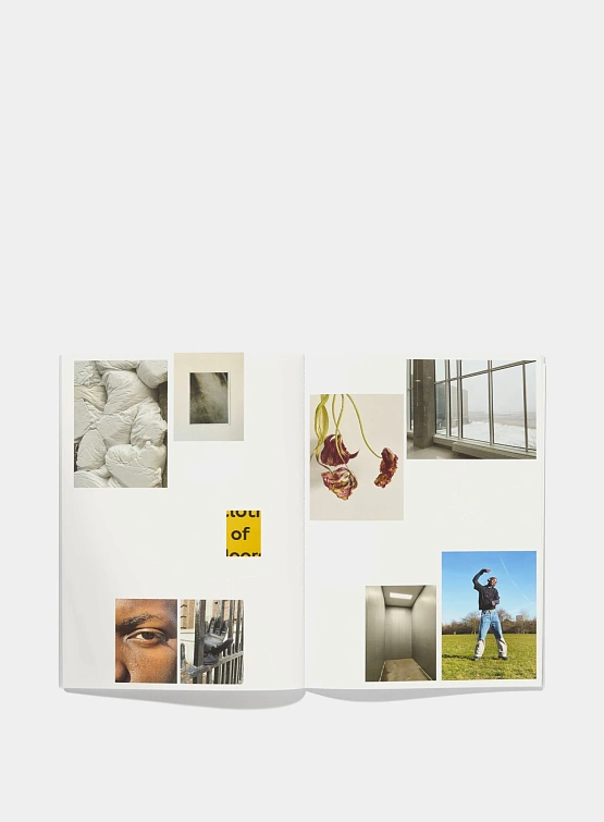 Книга Études Alessio Bolzoni