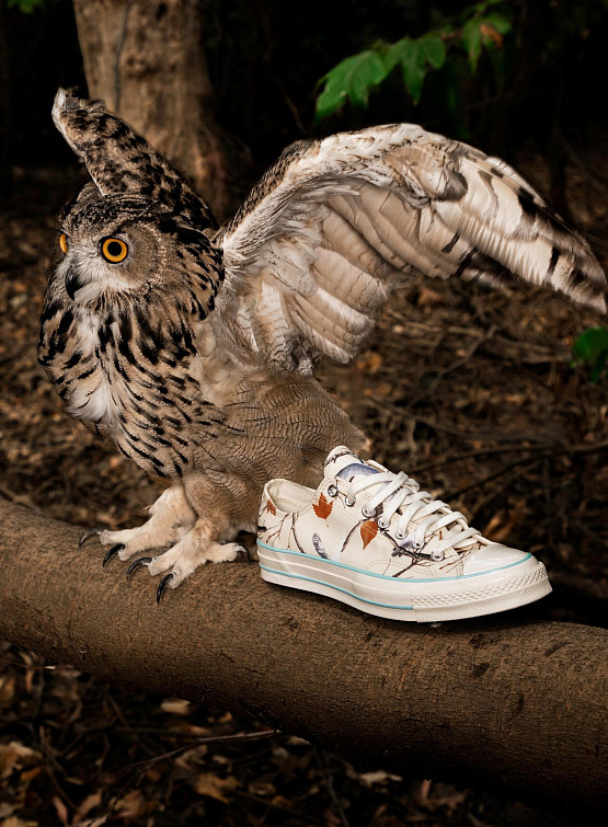 Кеды Converse x GOLF WANG Chuck 70 Owl