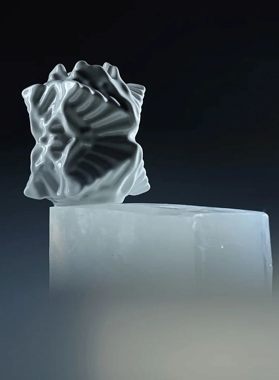 Ароматический диффузор FAKOSHIМA Х 01001LAB ОВJЕСТ1