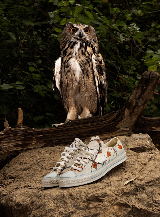 Кеды Converse x GOLF WANG Chuck 70 Owl
